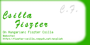 csilla fiszter business card
